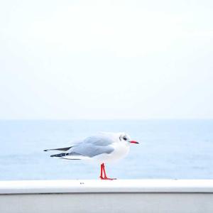 电子游戏策略